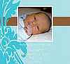It's a Boy For babysugar! 