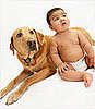 Dogs Keep Allergies at Bay
