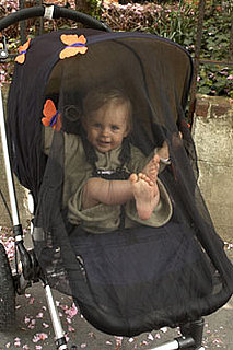 Mosquito Nets for Strollers