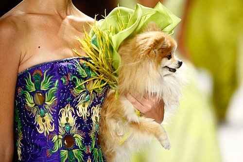 Joanna Mastroianni Spring 2009 Joanna Mastroianni Spring 2009