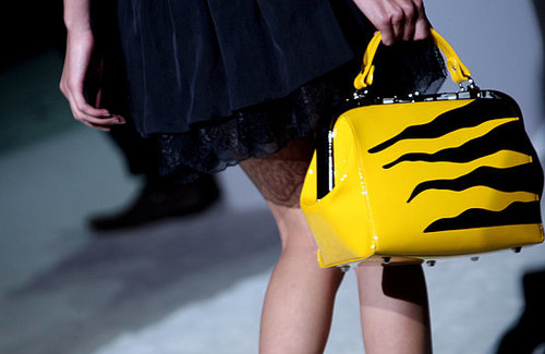 Milan Fashion Week: Just Cavalli Spring 2009 Milan Fashion Week: Just Cavalli Spring 2009