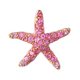 pinkystarfish91