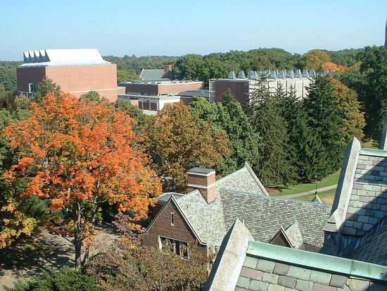 Wellesley Scenery