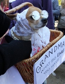 Happy Halloween