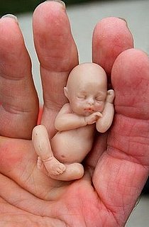 Bush Declares Jan. 18 Sanctity of Human Life Day 