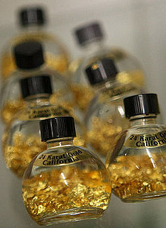 Tourists Join Full-Time Gold Prospectors in Gold Country! 