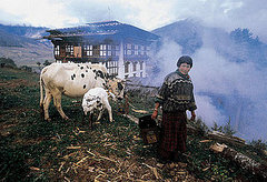 Computer Games a Threat to Bhutan's New Democracy? 