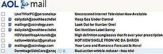 Inbox Law and Order: Spam AOL, Get 30 Months In Prison