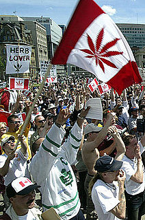 Everyday Canadians Get High on Marijuana Profits 