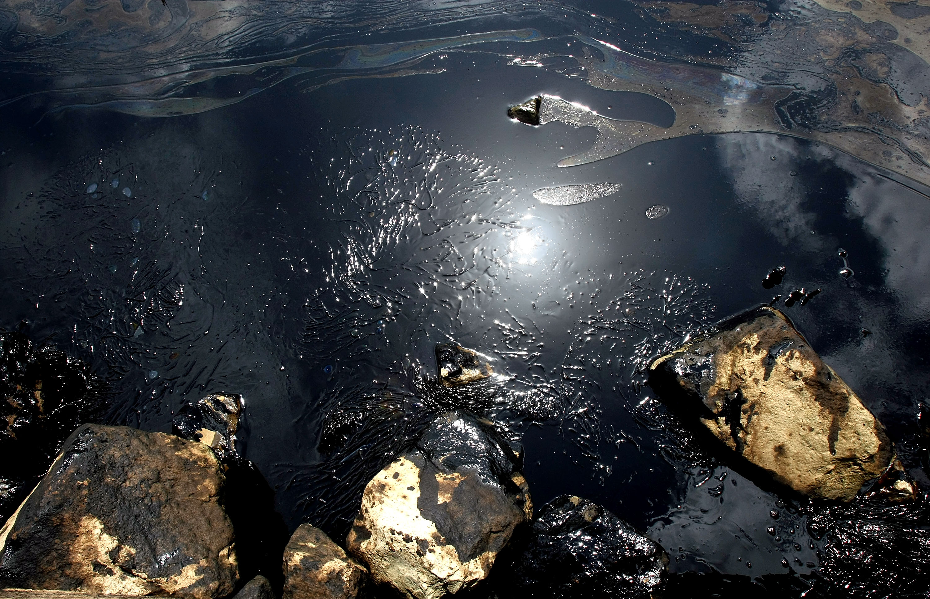 Two ships collided spilling over 400,000 gallons of industrial oil into the river. Two ships collided spilling over 400,000 gallons of industrial oil into the river.