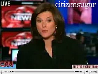 Briefing Book! Sarah Palin Victim of McCain Camp Sexism?