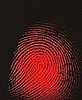 On-Demand Fingerprint Machines Let Police ID in the Street 