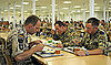 Too Fat to Fight? German Troops Overweight, Filled With Beer 