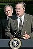 Briefing Book! Jeb Bush Might Run For Florida Senate Seat  