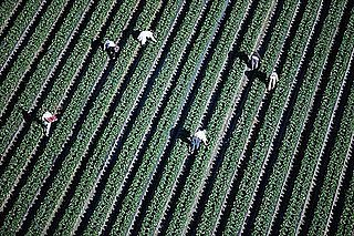Immigrants the New Slave Labor? FBI Probes Treatment 