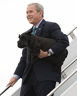 Bush Says He's Open to Suggestions on Next Gig — Got Any? 