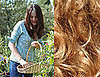 Hair Used as Fertilizer