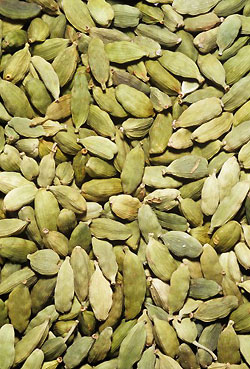 Definition of Cardamom
