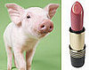 Definition of Putting Lipstick on a Pig