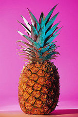 definition of bromelain definition of bromelain