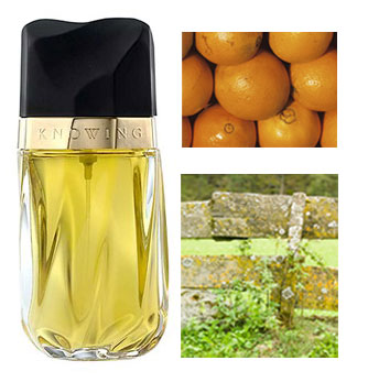 Definition of Chypre