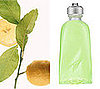 Definition of Citrus in the Fragrance Group