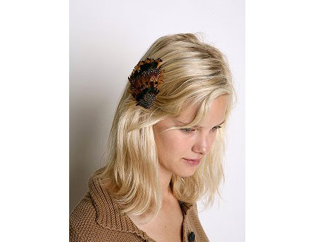 Bella's November 2008 Must Haves Bella's November 2008 Must Haves