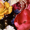 Six Fragrance Types at a Glance 