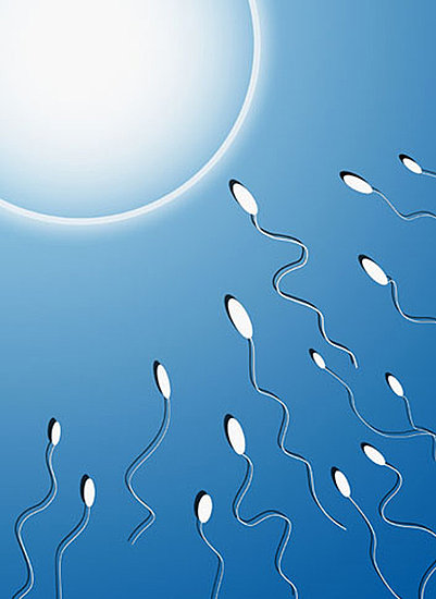 Five Over the Counter Ways to Increase Fertility
