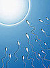 Five Over the Counter Ways to Increase Fertility