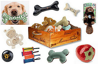 Take This Quiz and Win a Recycled Wine Crate Toy Box Filled with Eco-Friendly Dog Toys!