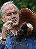 Creature Feature: Lemurs 
