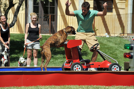 Presley and Travis Won Greatest American Dog