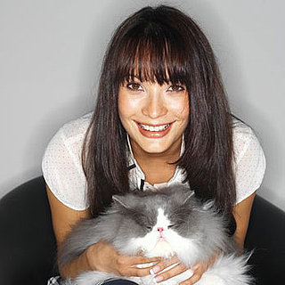 Do You Massage Your Pets? 
