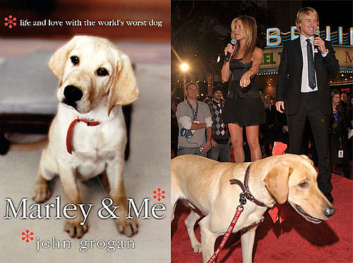 Marley and Me Marley and Me