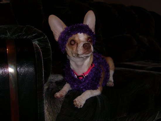 Turn a Sock Into a Sweater 