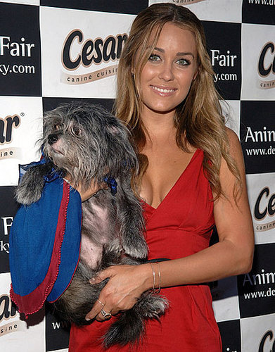 Lauren Conrad's Clothing Line is Dropped from Kitson