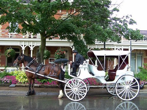 Road Trip - Niagara On The Lake