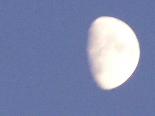 Some Evening Shots of the  September Half Moon