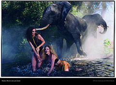 Bugs, Elephants, and Models Unite in Botswana for Pirelli 2009