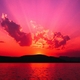 livilou's picture