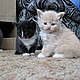 Laureen_1962 Laureen_1962