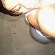 CESSIE's picture