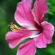 arleen87