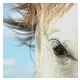 stella88's picture