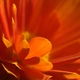 albamar's picture