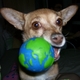 Mery Fence's picture