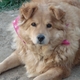 Terri56's picture