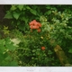 poetry2go