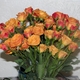 sagi's picture